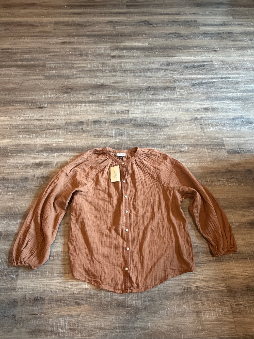 Universal Thread Lightweight Button-Down Shirt in Rust